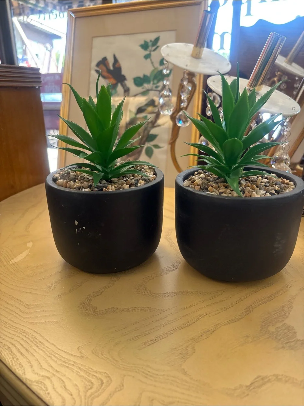 Pair of Black Ceramic Succulent Planter with Green Faux Plant